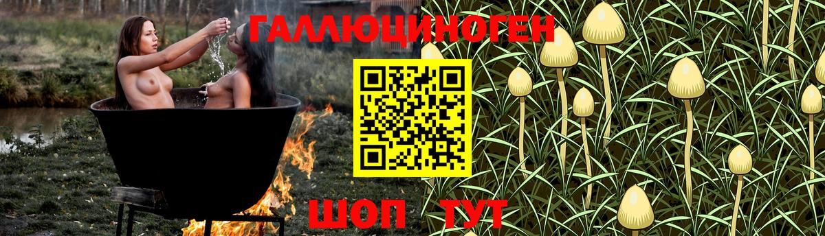 Галлюциногенные грибы ЛСД Кореновск