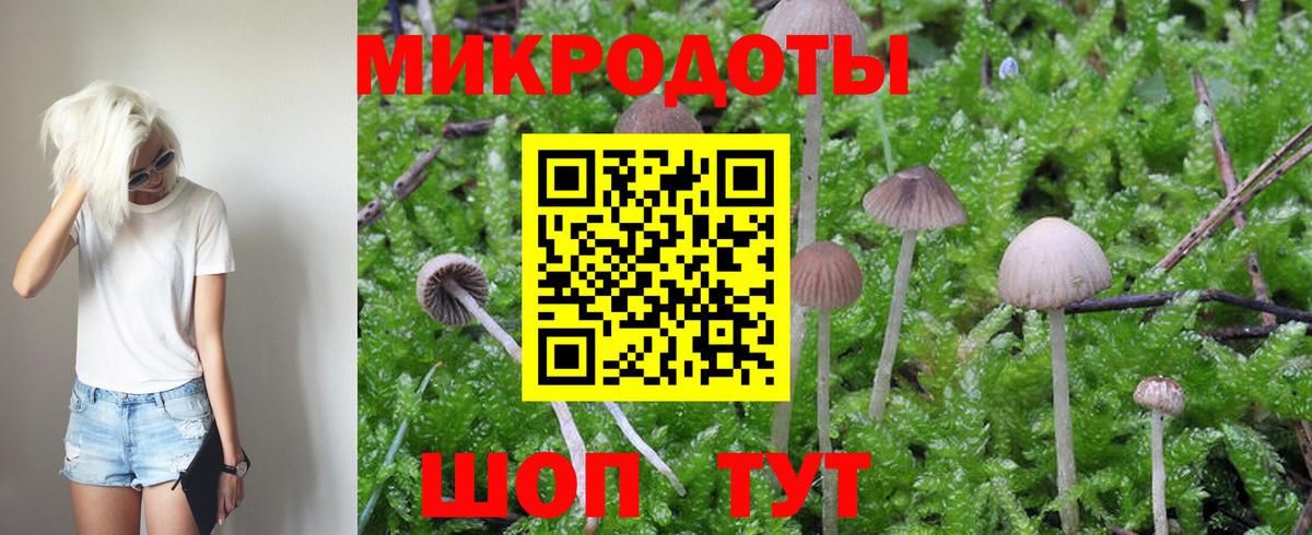 Кореновск  Псилоцибиновые грибы Cubensis  Вход с VPN 